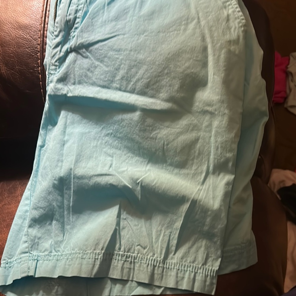 MENS TURQUOISE SALTWATER IZOD SHORTS